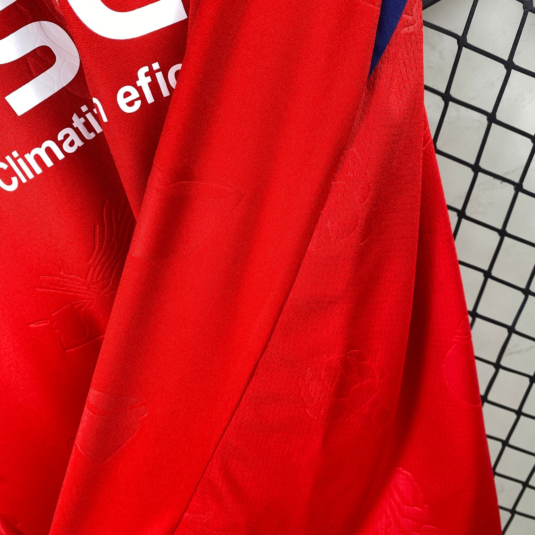 Camisa do Osasuna 24/25 Home