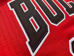 Regata Chicago Bulls Away Adidas Jordan