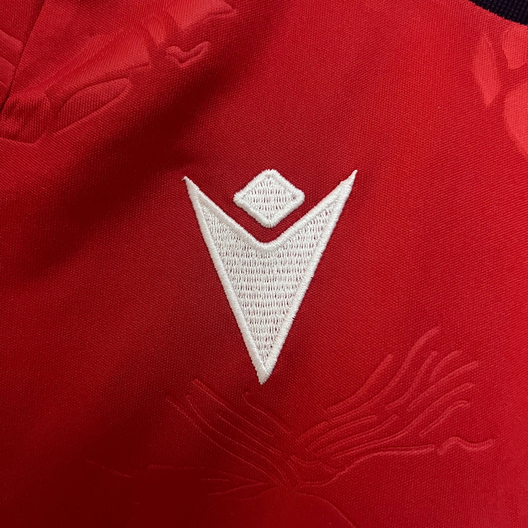 Conjunto Infantil Osasuna 24/25 Home