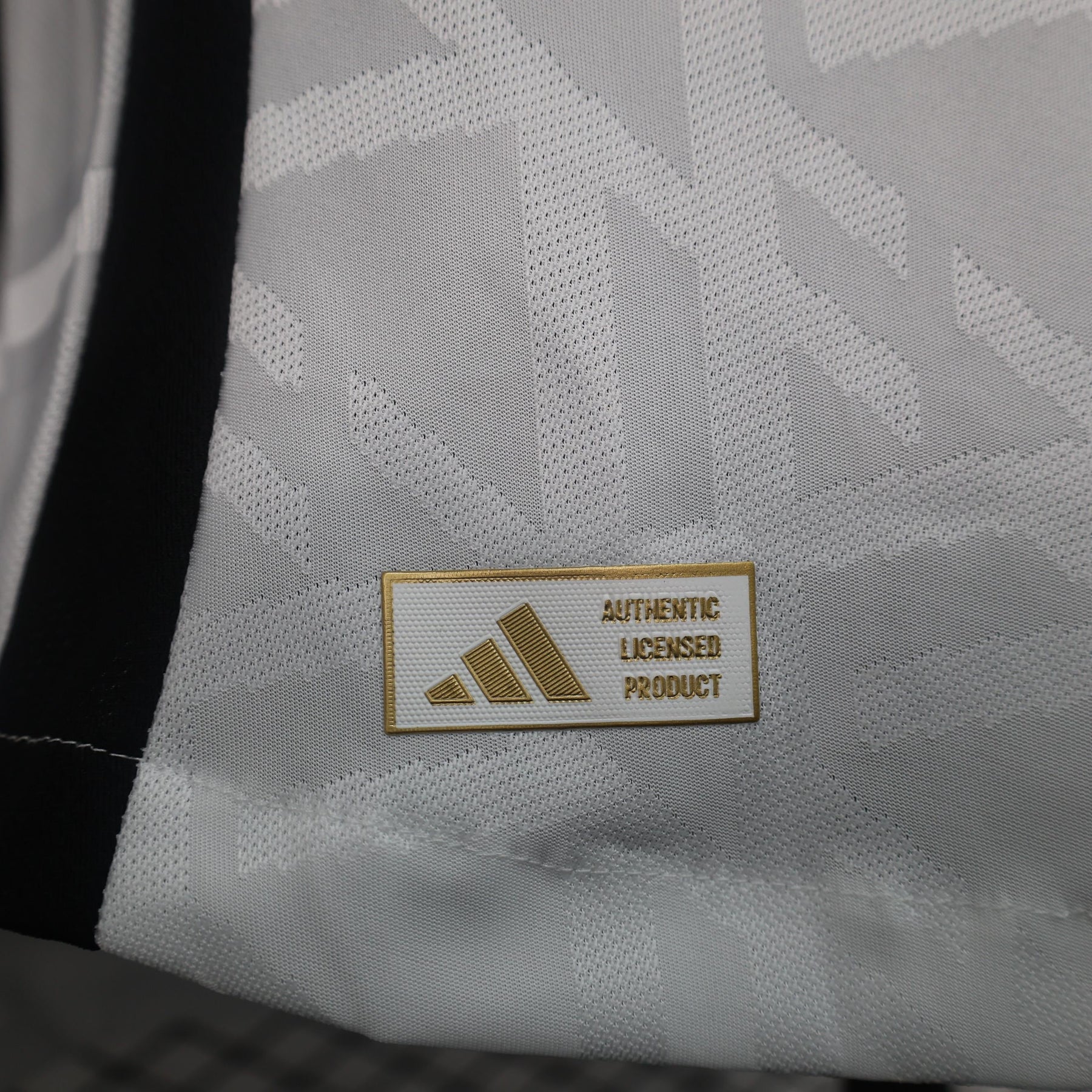 Camisa Seleção Alemanha - Home - 2024/25 - Masculino - Jogador - Camisa I